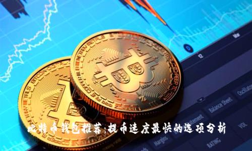 比特币钱包推荐：提币速度最快的选项分析
