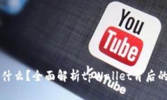 tpWallet是什么？全面解析