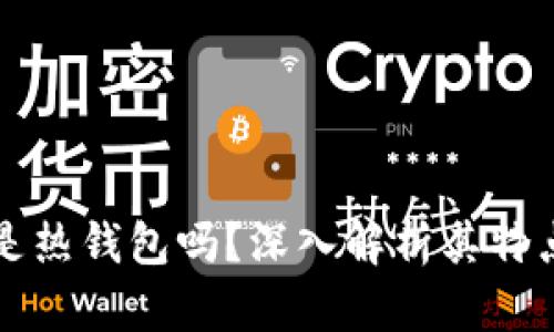 tpWallet是热钱包吗？深入解析其特点与安全性