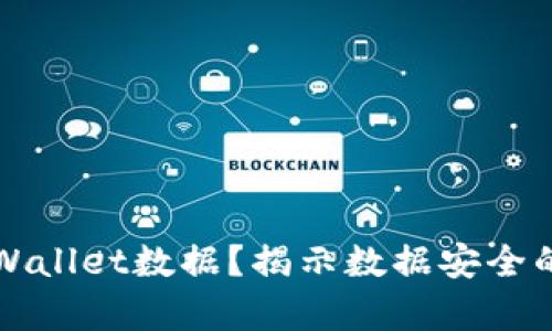 黑客如何盗取tpWallet数据？揭示数据安全的隐患与防护措施