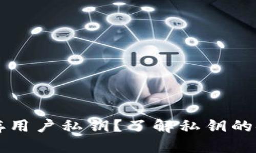 tpWallet是否保存用户私钥？了解私钥的安全性与管理方式