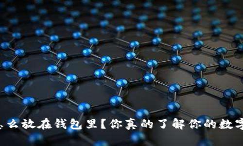 虚拟币怎么放在钱包里？你真的了解你的数字资产吗？