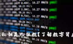 tpWallet私钥是几位数？了解