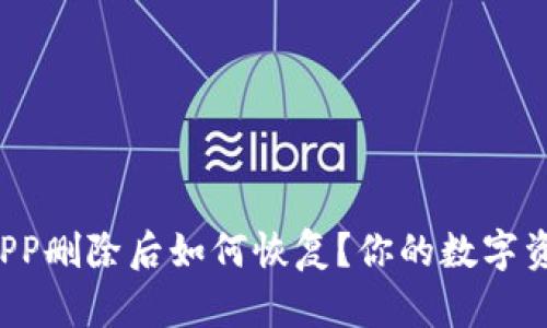 tpWalletAPP删除后如何恢复？你的数字资产安全吗？