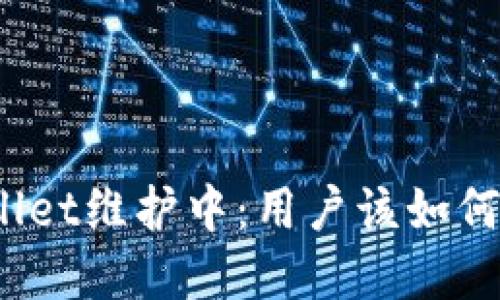 tpWallet维护中：用户该如何应对？