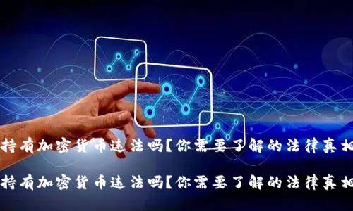持有加密货币违法吗？你需要了解的法律真相

持有加密货币违法吗？你需要了解的法律真相