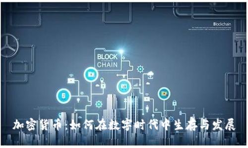 加密货币：如何在数字时代中生存与发展