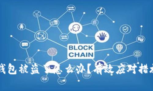 虚拟货币冷钱包被盗了怎么办？有效应对措施及预防技巧