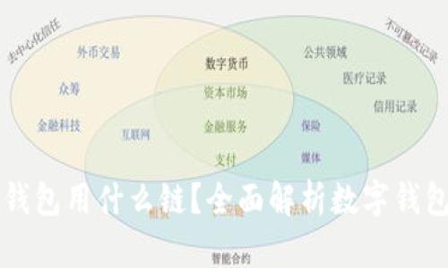 开通数字钱包用什么链？全面解析数字钱包选择指南