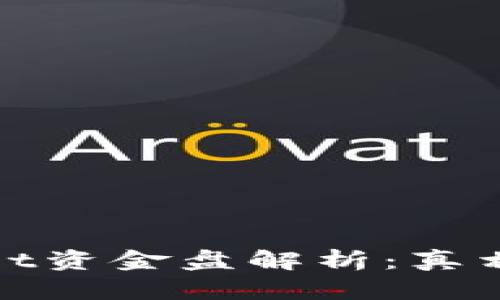 tpWallet资金盘解析：真相与风险