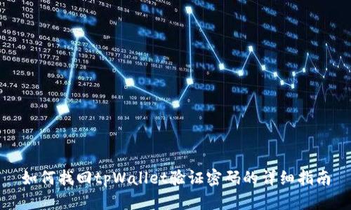 如何找回tpWallet验证密码的详细指南