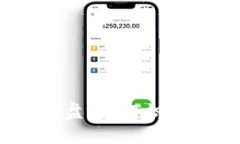  可以是：虚拟币控盘：如