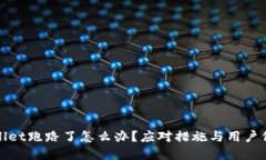 : tpWallet跑路了怎么办？应