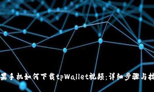 苹果手机如何下载tpWallet视频：详细步骤与技巧