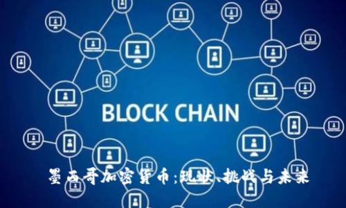  墨西哥加密货币：现状、挑战与未来