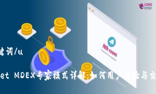 u和关键词/u

tpWallet MDEX专家模式详解：如何用户体验与交易效率
